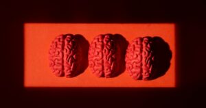 minicerebros-humanos-substituir-chips