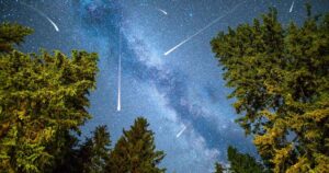 design-sem-nome-2025-11-03t120031634