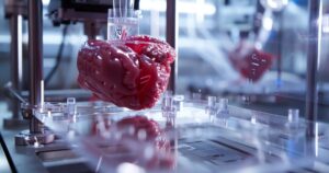 cientistas-criam-mini-coracao-humano