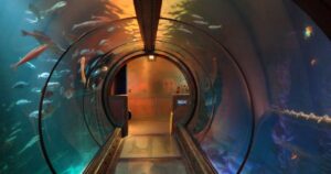 design-sem-nome-2025-12-11t150452094