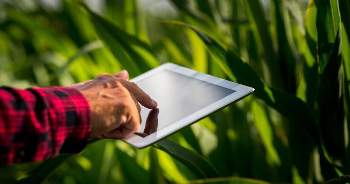 Tecnologia vira pilar no agro brasileiro, que já conta com mais de 2 mil agtechs