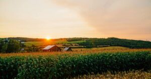 agricultor-projeto-data-center-ia-terras-agricolas