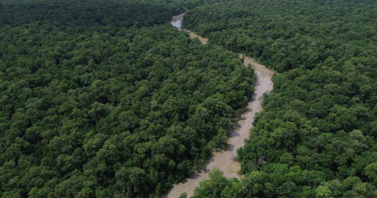 Brasil reforça combate ao garimpo ilegal na Amazônia com tecnologia forense
